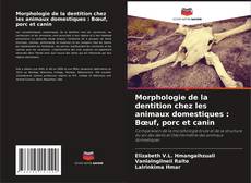 Bookcover of Morphologie de la dentition chez les animaux domestiques : Bœuf, porc et canin