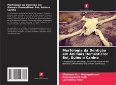 Обложка Morfologia da Dentição em Animais Domésticos: Boi, Suino e Canino