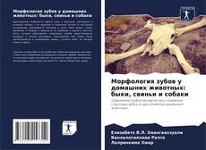 Copertina di Морфология зубов у домашних животных: быки, свиньи и собаки