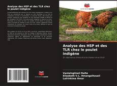Capa do livro de Analyse des HSP et des TLR chez le poulet indigène 