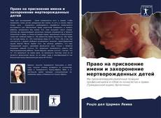 Buchcover von Право на присвоение имени и захоронение мертворожденных детей