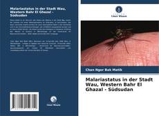 Buchcover von Malariastatus in der Stadt Wau, Western Bahr El Ghazal - Südsudan