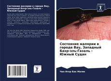 Состояние малярии в городе Вау, Западный Бахр-эль-Газаль - Южный Судан的封面