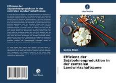 Buchcover von Effizienz der Sojabohnenproduktion in der zentralen Landwirtschaftszone