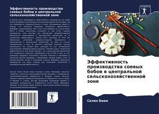Buchcover von Эффективность производства соевых бобов в центральной сельскохозяйственной зоне