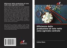 Portada del libro de Efficienza della produzione di soia nella zona agricola centrale