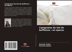 Lipogenèse du lait de bufflonne : un aperçu kitap kapağı