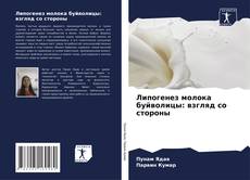 Bookcover of Липогенез молока буйволицы: взгляд со стороны