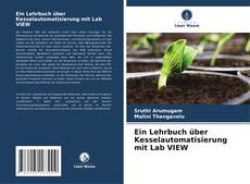 Обложка Ein Lehrbuch über Kesselautomatisierung mit Lab VIEW