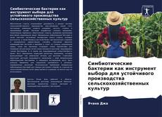 Bookcover of Симбиотические бактерии как инструмент выбора для устойчивого производства сельскохозяйственных культур