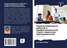 Capa do livro de Удовлетворенность работой и профессиональный стресс педагогов-преподавателей 