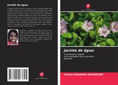 Capa do livro de Jacinto de água: 