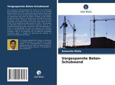 Buchcover von Vorgespannte Beton-Schubwand