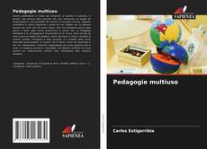 Pedagogie multiuso的封面