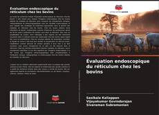 Bookcover of Évaluation endoscopique du réticulum chez les bovins