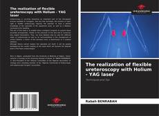 Bookcover of The realization of flexible ureteroscopy with Holium - YAG laser