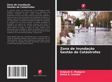 Обложка Zona de inundação Gestão de Catástrofes
