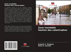 Bookcover of Zone inondable Gestion des catastrophes