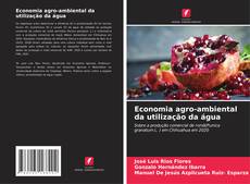 Capa do livro de Economia agro-ambiental da utilização da água 