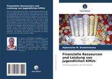 Buchcover von Finanzielle Ressourcen und Leistung von jugendlichen KMUs