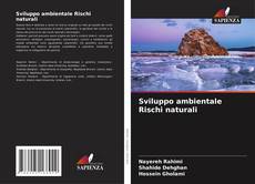 Sviluppo ambientale Rischi naturali kitap kapağı