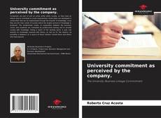 University commitment as perceived by the company. kitap kapağı
