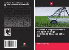 Copertina di Avaliar a disponibilidade de água de rega utilizando técnicas SIG e RS