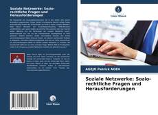 Soziale Netzwerke: Sozio-rechtliche Fragen und Herausforderungen kitap kapağı