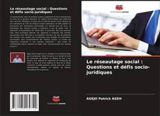Copertina di Le réseautage social : Questions et défis socio-juridiques
