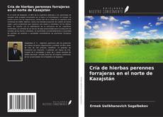 Bookcover of Cría de hierbas perennes forrajeras en el norte de Kazajstán