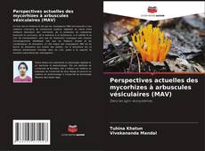 Copertina di Perspectives actuelles des mycorhizes à arbuscules vésiculaires (MAV)