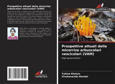 Bookcover of Prospettive attuali delle micorrize arbuscolari vescicolari (VAM)