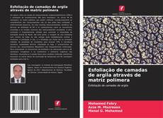 Portada del libro de Esfoliação de camadas de argila através de matriz polímera