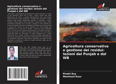 Bookcover of Agricoltura conservativa e gestione dei residui: lezioni dal Punjab e dal WB