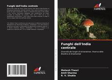 Funghi dell'India centrale kitap kapağı