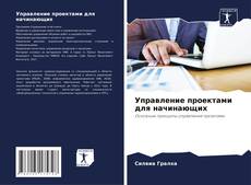 Bookcover of Управление проектами для начинающих