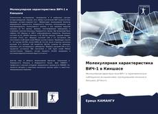 Bookcover of Молекулярная характеристика ВИЧ-1 в Киншасе