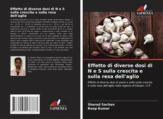 Bookcover of Effetto di diverse dosi di N e S sulla crescita e sulla resa dell'aglio