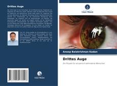 Bookcover of Drittes Auge