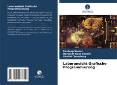 Bookcover of Laboransicht Grafische Programmierung