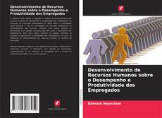 Capa do livro de Desenvolvimento de Recursos Humanos sobre o Desempenho e Produtividade dos Empregados 
