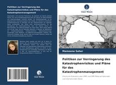 Bookcover of Politiken zur Verringerung des Katastrophenrisikos und Pläne für das Katastrophenmanagement