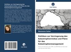 Portada del libro de Politiken zur Verringerung des Katastrophenrisikos und Pläne für das Katastrophenmanagement