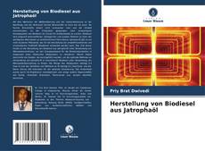 Buchcover von Herstellung von Biodiesel aus Jatrophaöl