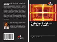 Buchcover von Produzione di biodiesel dall'olio di jatropha