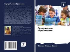Bookcover of Виртуальное образование