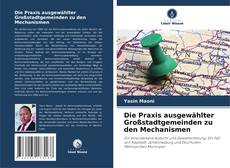 Обложка Die Praxis ausgewählter Großstadtgemeinden zu den Mechanismen