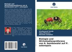 Copertina di Biologie und Wirtsstadienpräferenz von A. bambawalei auf P. solenopsis