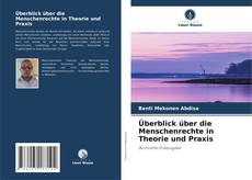 Capa do livro de Überblick über die Menschenrechte in Theorie und Praxis 