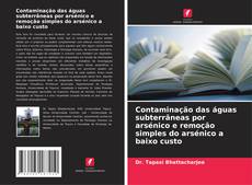 Borítókép a  Contaminação das águas subterrâneas por arsénico e remoção simples do arsénico a baixo custo - hoz